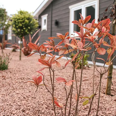 Campingplatz Danu Escape