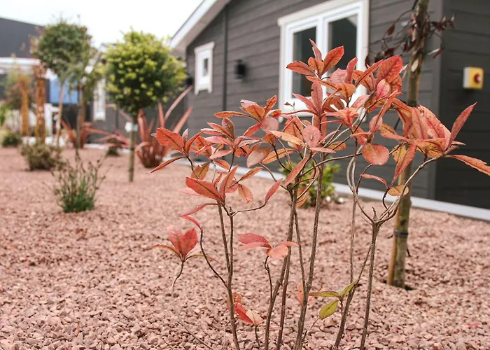 Κάμπινγκ Danu Escape